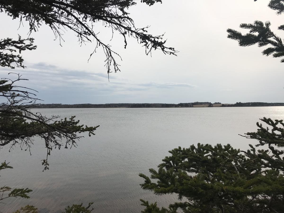 By The Bay Cottages Stanhope 외부 사진